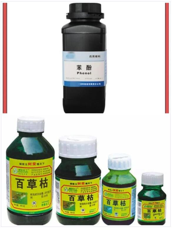 <a href='http://m.itzaixian.com' title='國(guó)際貨運(yùn)代理' >國(guó)際貨運(yùn)代理</a>